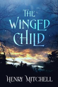 The Winged Child The Winged Child