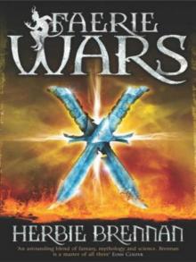 Faerie Wars fw-1