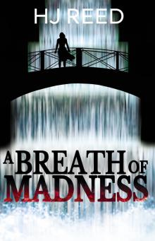 A Breath of Madness: A Ruben Quinn Novel