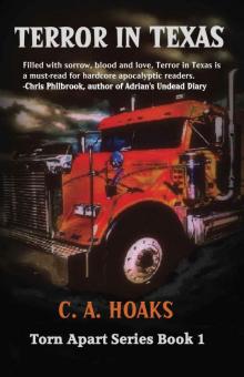 Torn Apart (Book 1): Terror In Texas