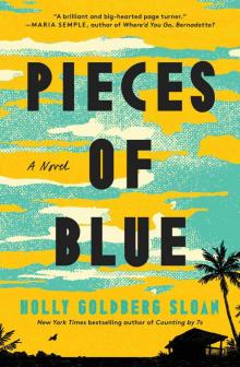 Pieces of Blue Pieces of Blue