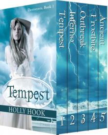 The Destroyers Series Box Set (Books 1-5)