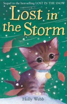 Lost in the Storm (Holly Webb Animal Stories)