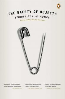 Safety of Objects : Stories (9781101590416)