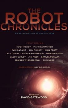 The Robot Chronicles The Robot Chronicles