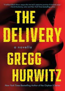The Delivery: A Novella The Delivery: A Novella