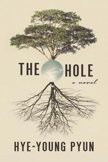 The Hole The Hole