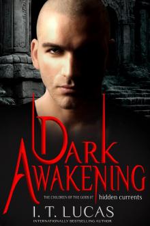 Dark Awakening: Hidden Currents