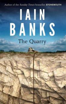 The Quarry The Quarry