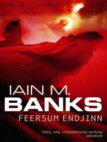 Feersum Endjinn Feersum Endjinn
