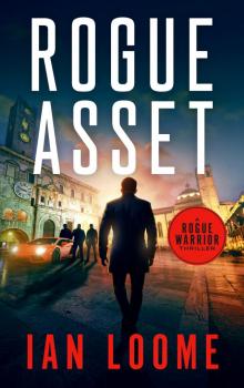Rogue Asset (Rogue Warrior Thrillers Book 11)