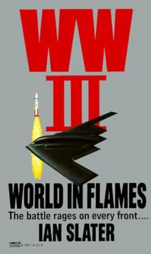 World in Flames wi-3 World in Flames wi-3