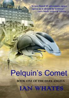 Pelquin's Comet Pelquin's Comet