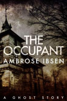 The Occupant: The Afterlife Investigations #3