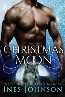Christmas Moon