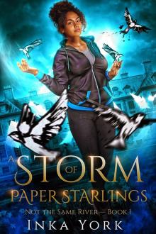 A Storm of Paper Starlings