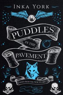 Puddles in the Pavement