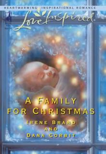 A Family for Christmas