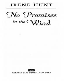 No Promises in the Wind No Promises in the Wind