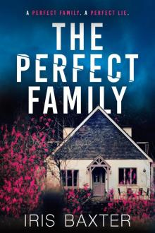 The Perfect Family