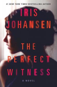The Perfect Witness The Perfect Witness