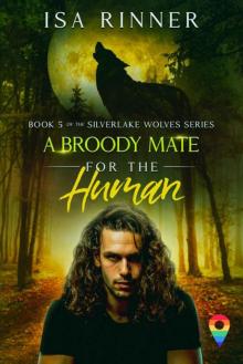 A Broody Mate for the Human: Book 5 of the Silverlake Wolves Series