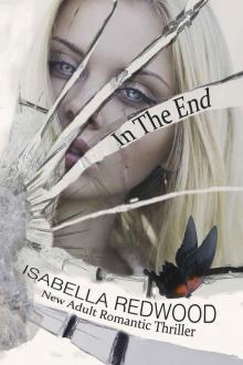 In The End (The Butterfly Series Book 1)