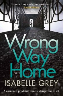 Wrong Way Home: Sunday Times Crime Book of the Month