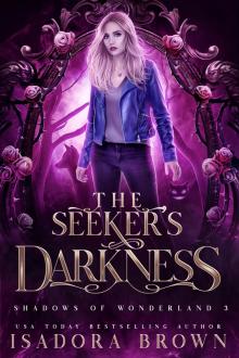 The Seeker's Darkness
