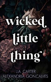 Wicked Little Thing: A Standalone Reverse Harem Romance