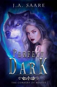 Perfect Dark (The Company of Wolves Book 1) Perfect Dark (The Company of Wolves Book 1)