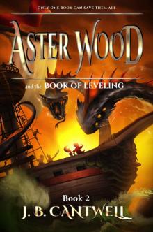 Aster Wood and the Book of Leveling (Book 2)