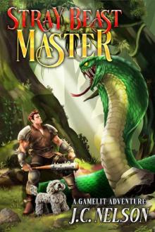 Stray Beast Master: A Gamelit Adventure