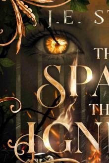 The Spark that Ignites: Shattered Soul Series