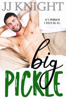 Big Pickle Big Pickle
