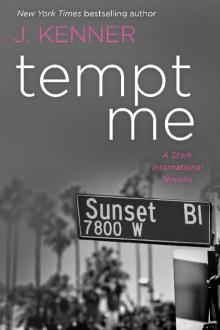 Tempt Me (Jamie & Ryan: Stark International Novella #3.71)
