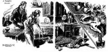 A Cold Night For Murder