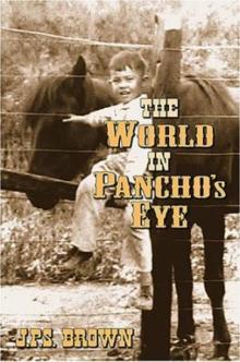 The World in Pancho's Eye - J P S Brown