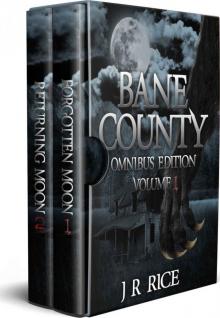 Bane County Omnibus 1