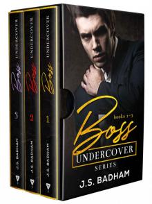 Boss Undercover Series Bundle