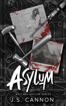 Asylum: The Wellard Asylum Series
