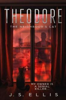 Theodore: The Neighbour's Cat Theodore: The Neighbour's Cat