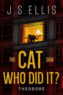 The Cat Saw Who Did It? Theodore book 2: A psychological thriller with a nerve shredding climax (Theodore: The Neighbour's Cat)