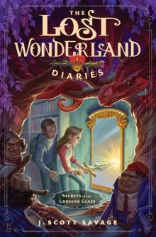 Secrets of the Looking Glass