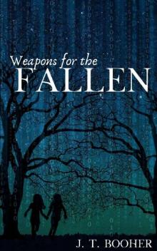 Weapons for the Fallen
