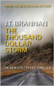 THE THOUSAND DOLLAR STORM: A Colt Ryder Thriller