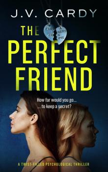 The Perfect Friend: a twist-filled psychological thriller