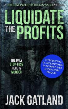 DI Declan Walsh: Book 0.5 - Liquidate the Profits