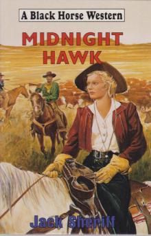 Midnight Hawk Midnight Hawk