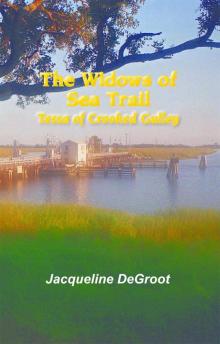 The Widows of Sea Trail-Tessa of Crooked Gulley The Widows of Sea Trail-Tessa of Crooked Gulley